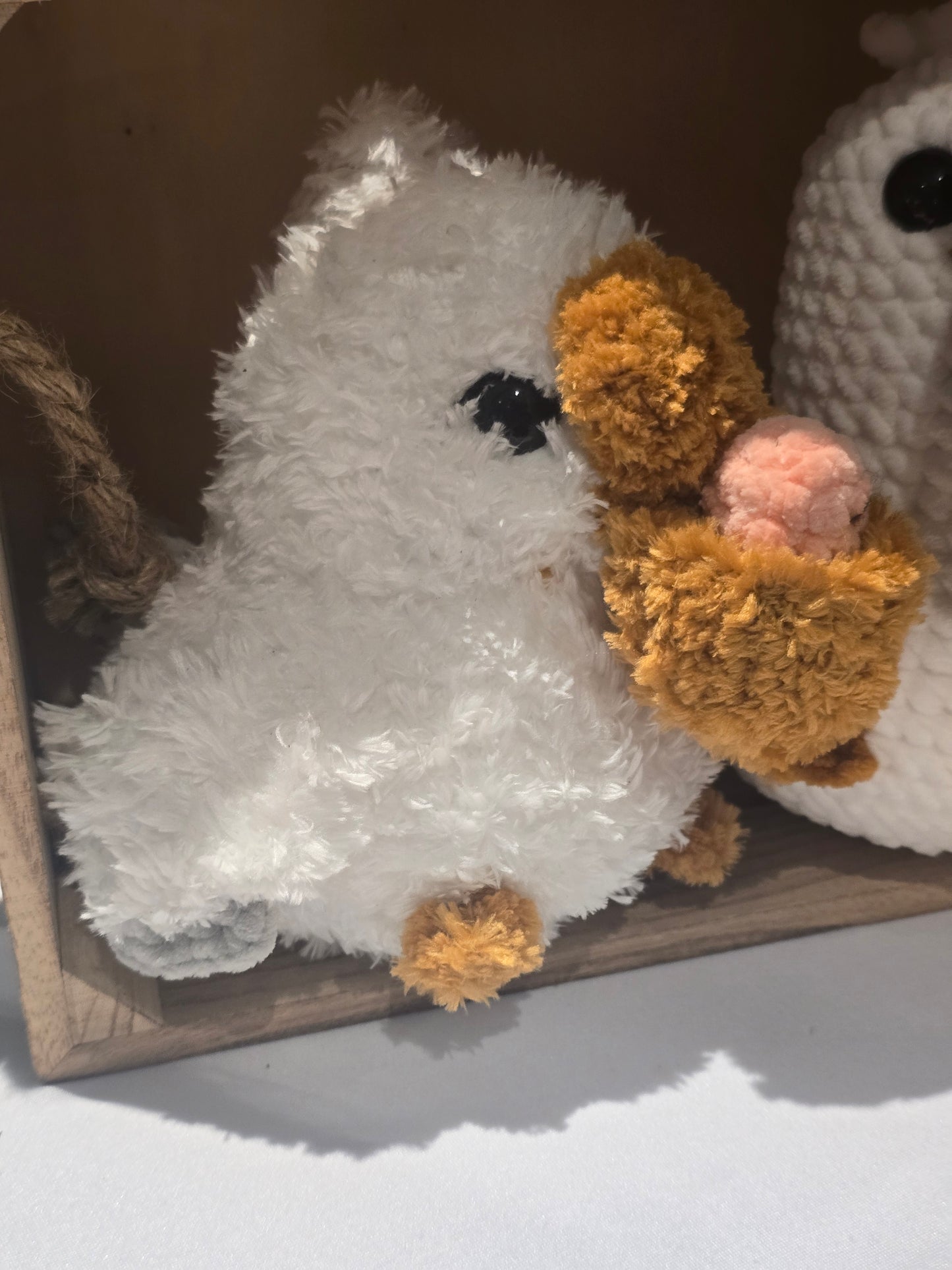 Mouette avec son poisson