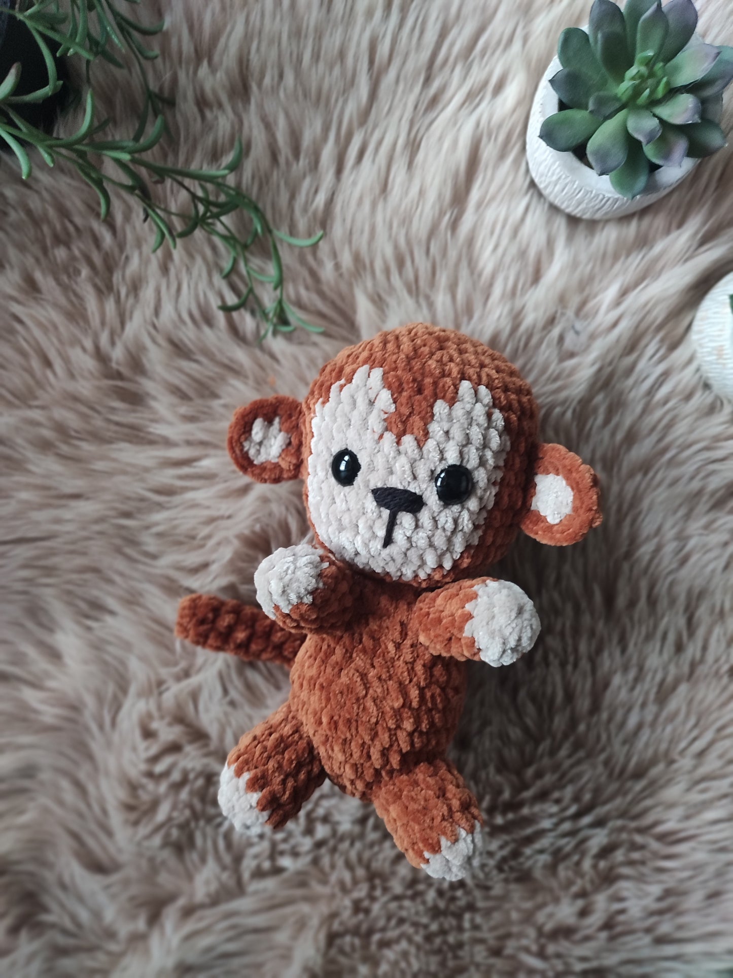 Singe 🐒