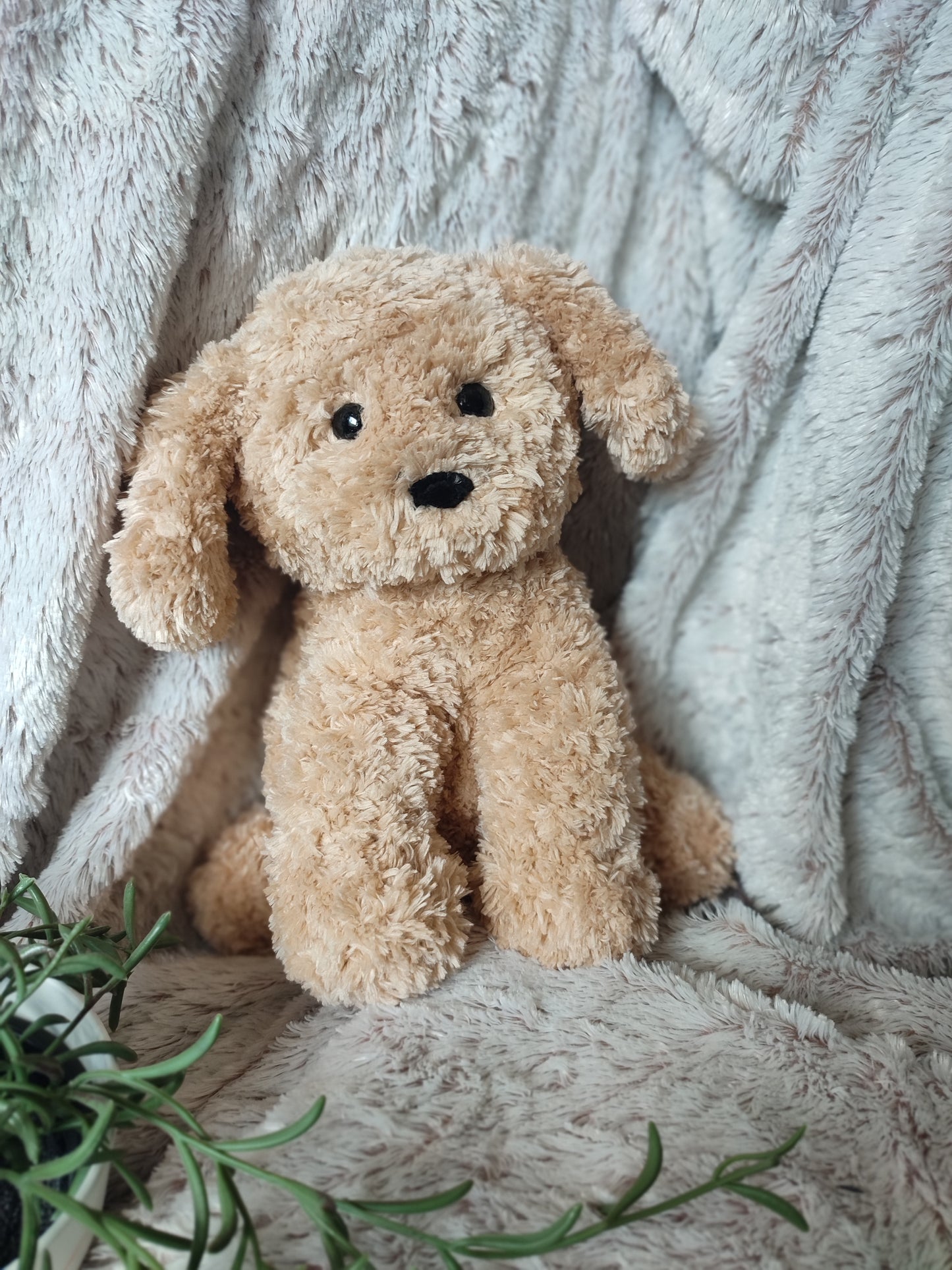 Peluche chien personnalisable 🐶