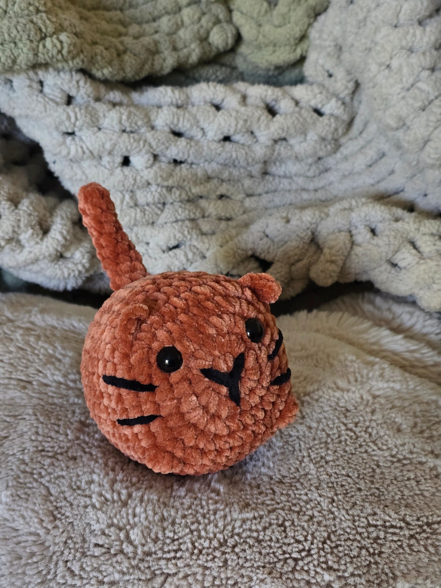 Chat brioche 🐈