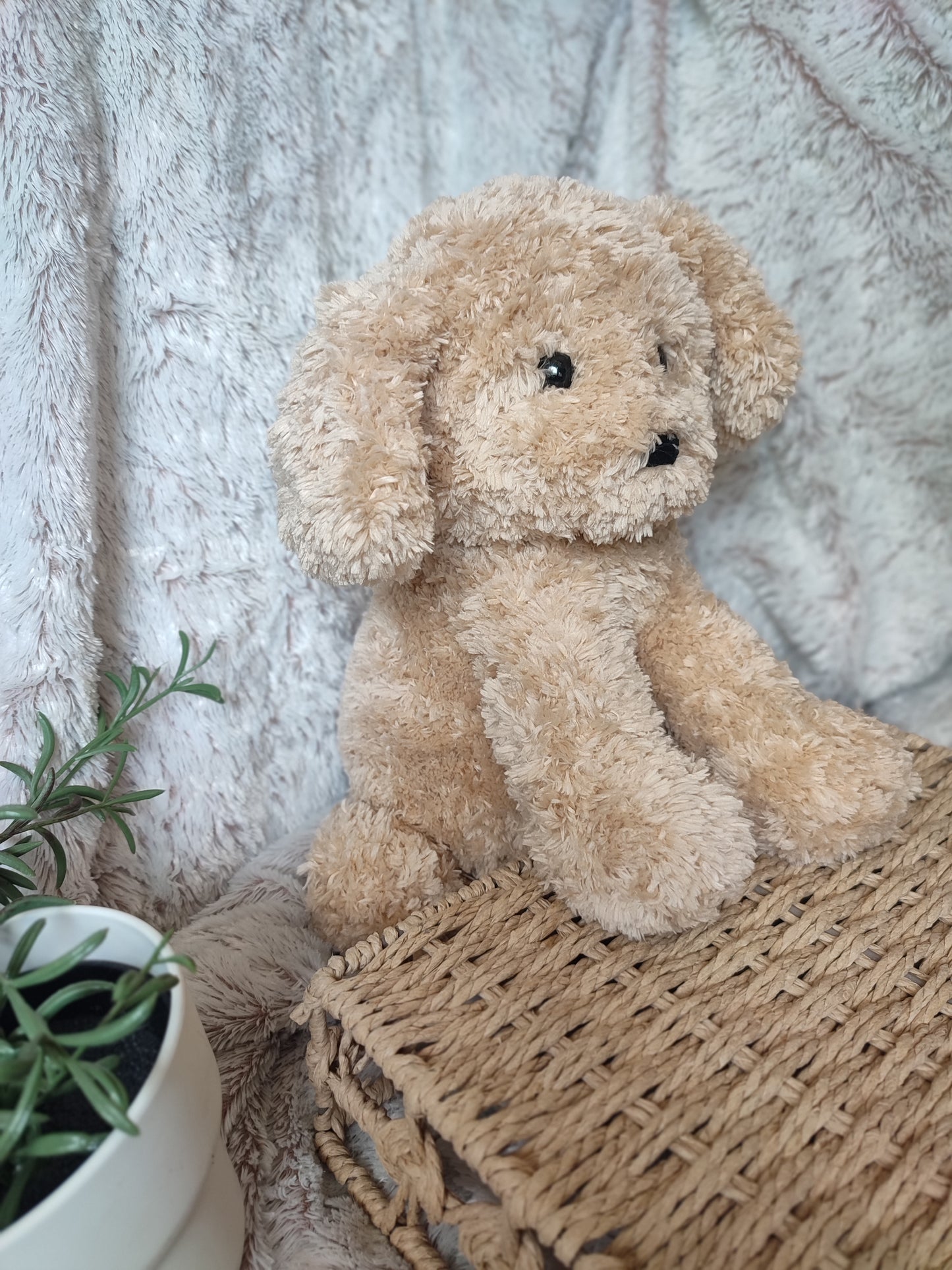 Peluche chien personnalisable 🐶